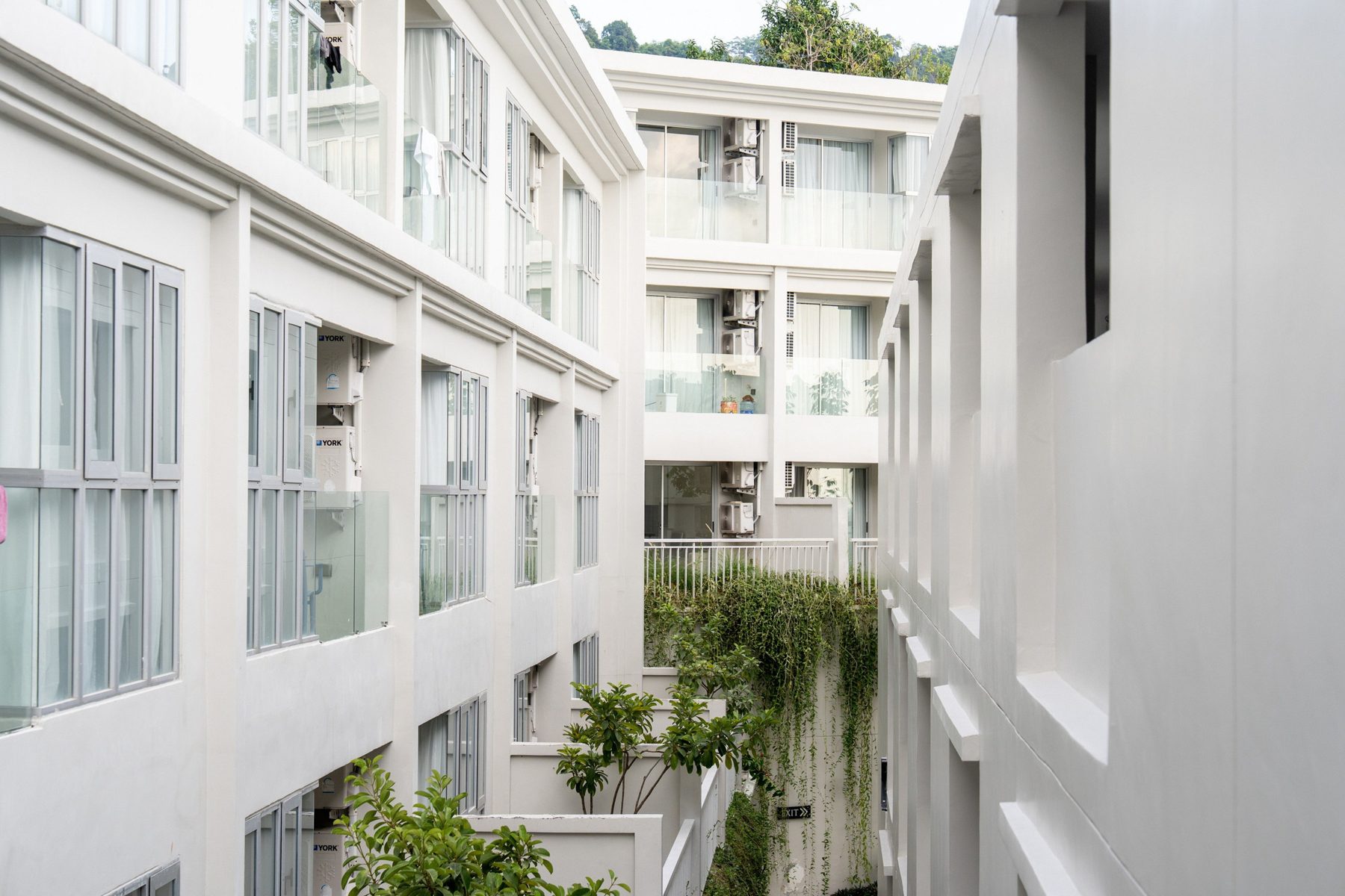 Landscaped internal corridor between residence buildings
